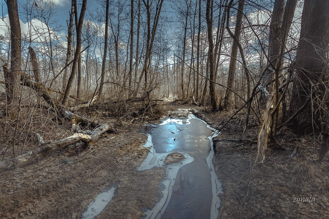 весенний хаос