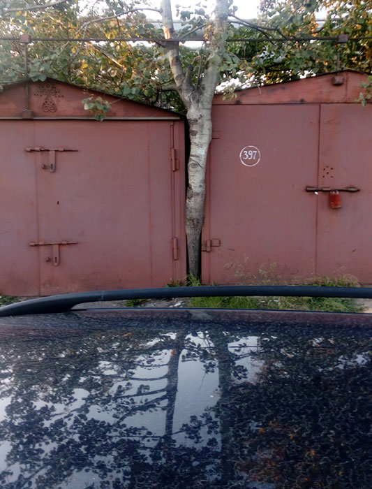 В той или иной форме