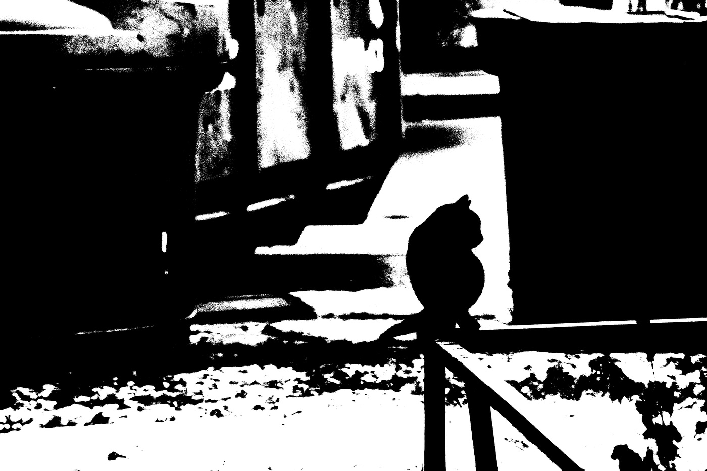 В той или иной форме