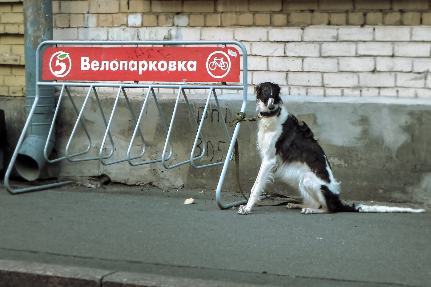 В той или иной форме