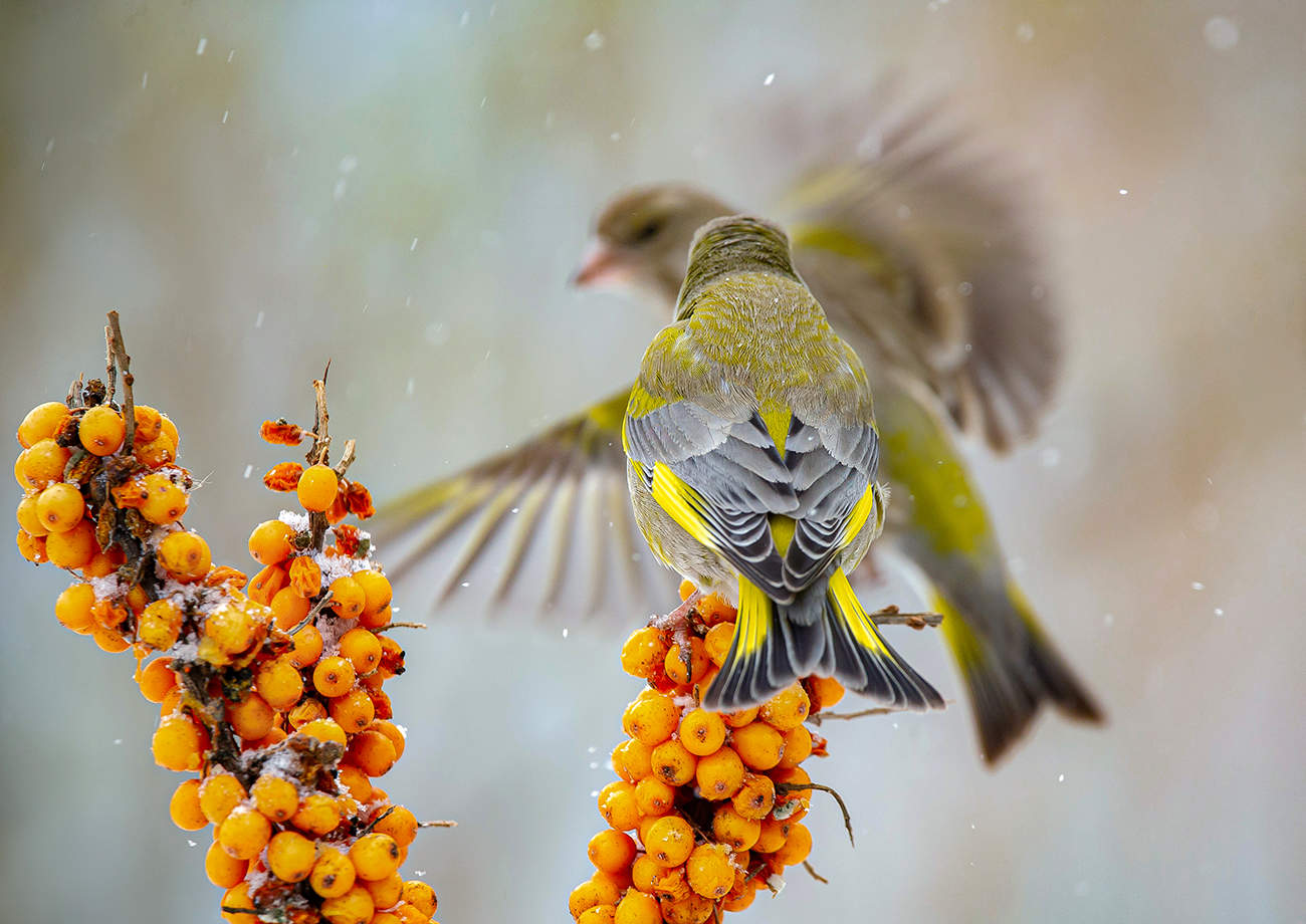 "Дело было вечером,делать было..."
