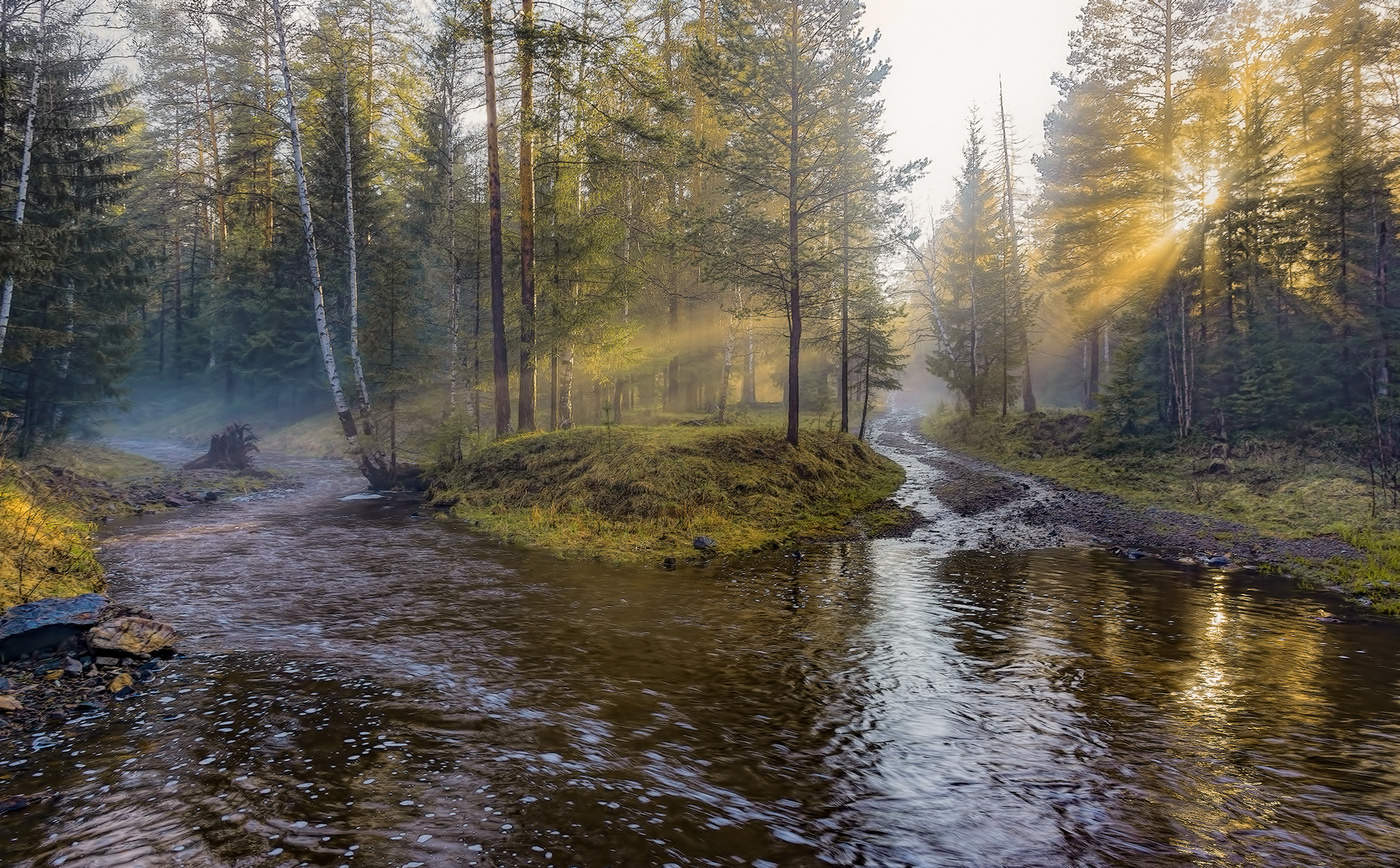 Вечер после дождя