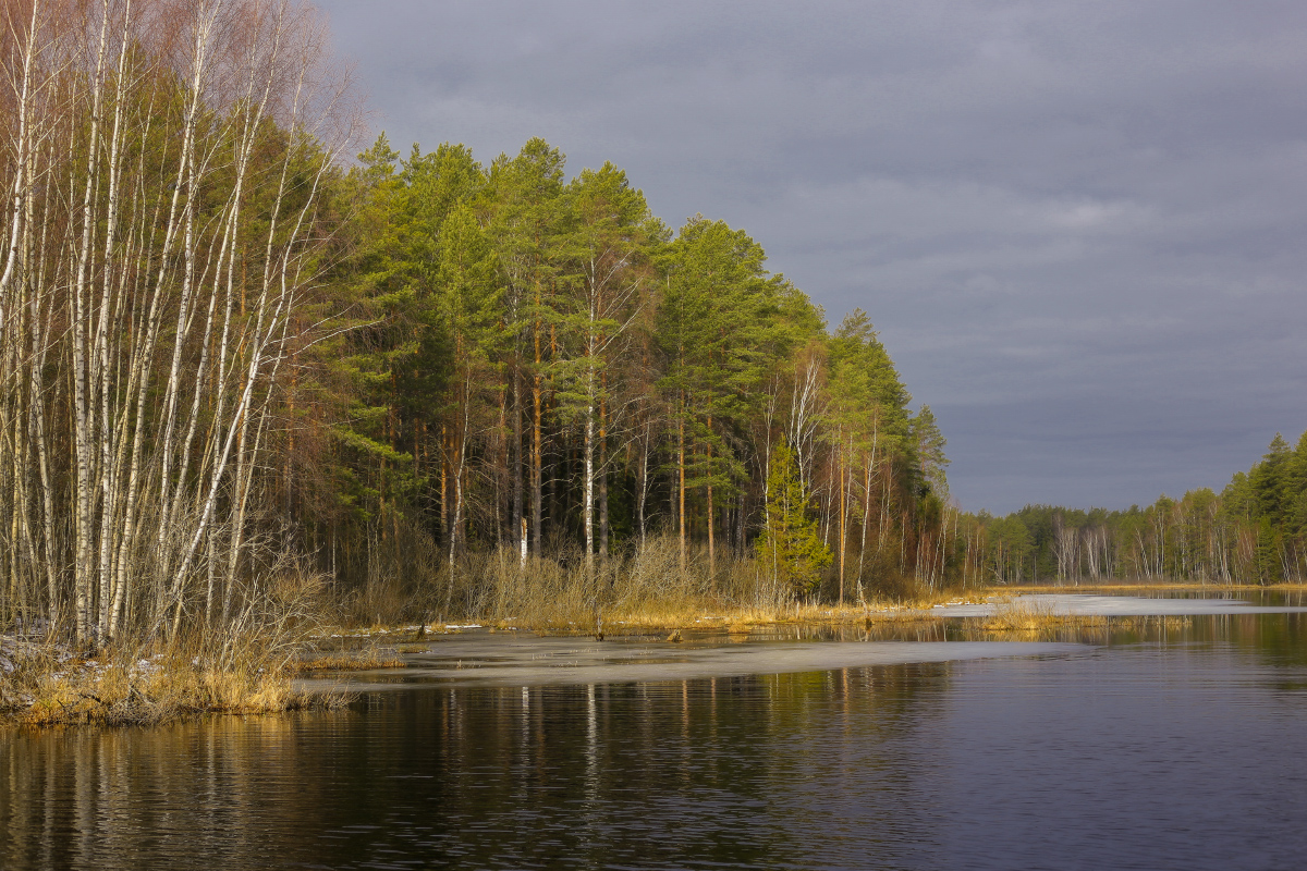 Утро. И лед осознал, что для него оно будет последним