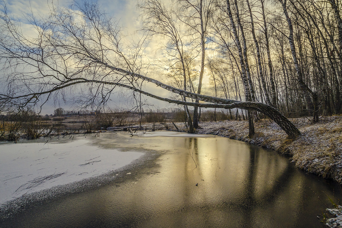 Весеннее утро на протоке