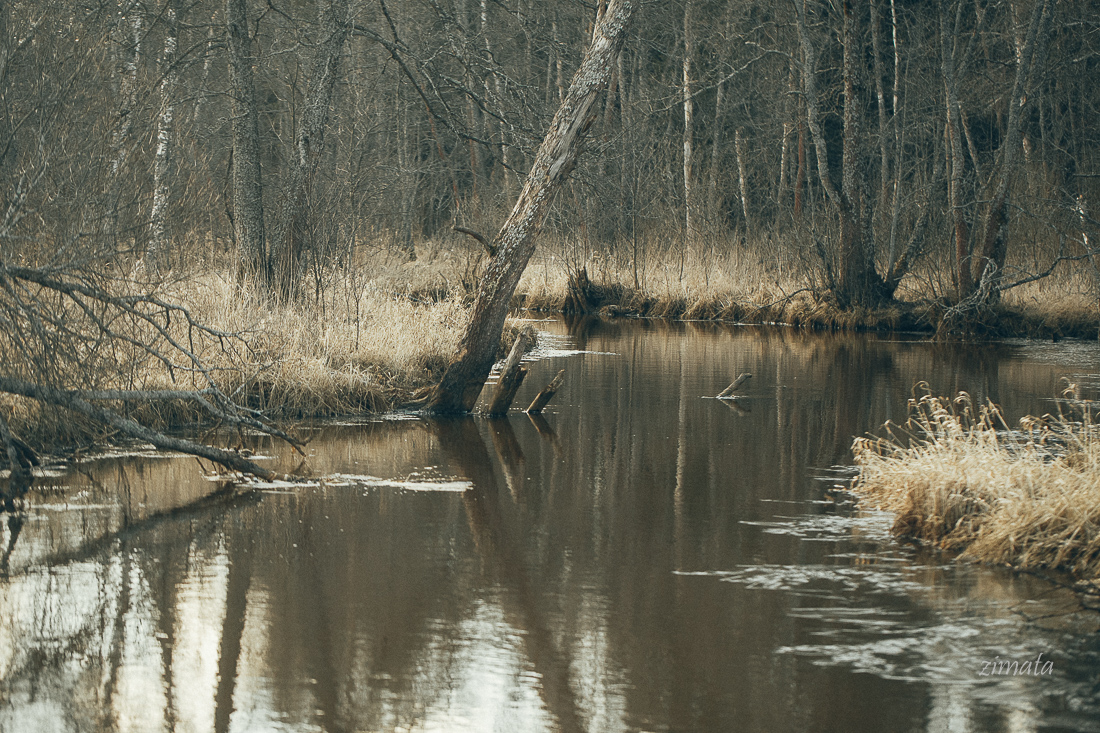 настроение