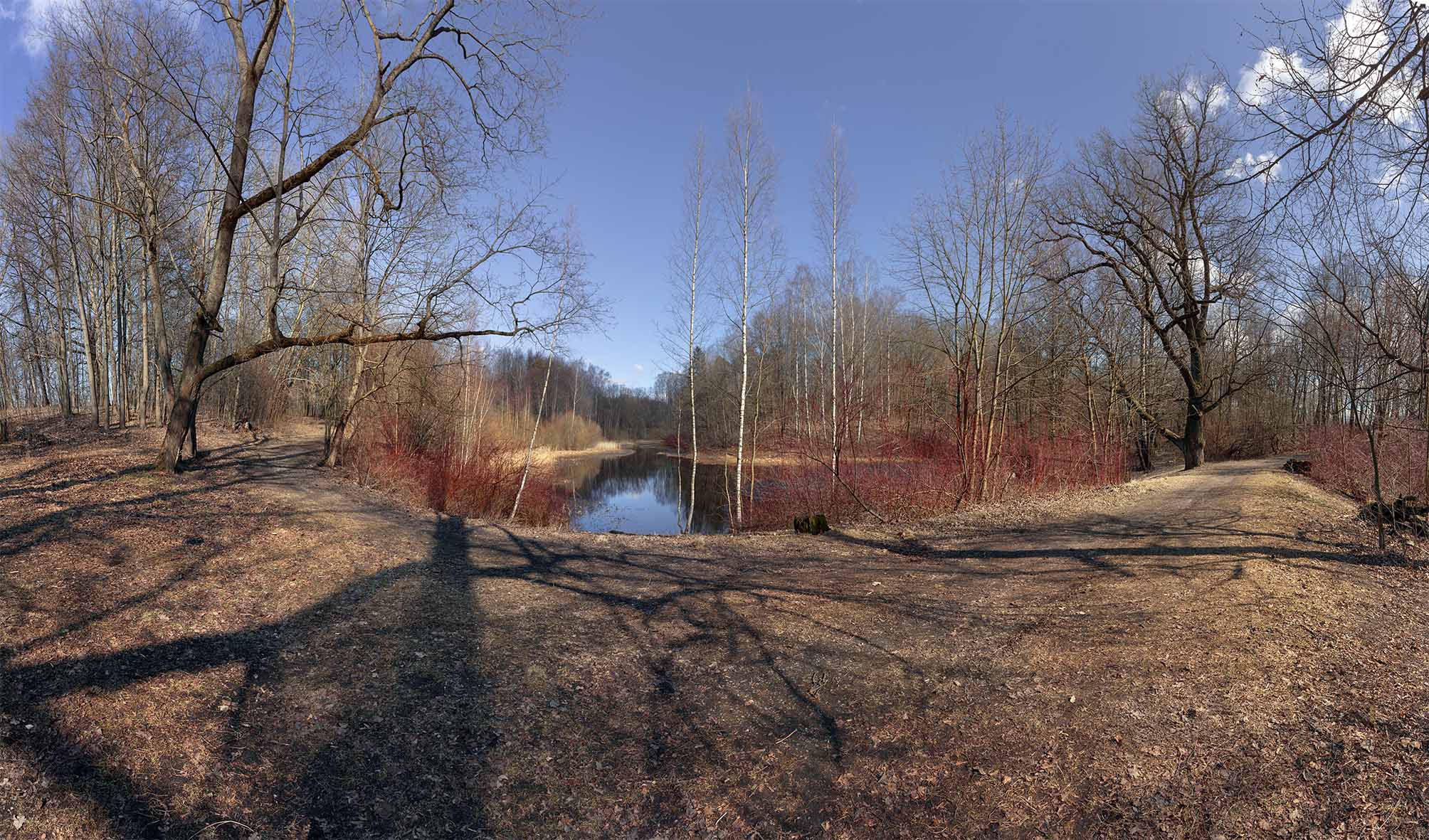 Весенние тропинки..