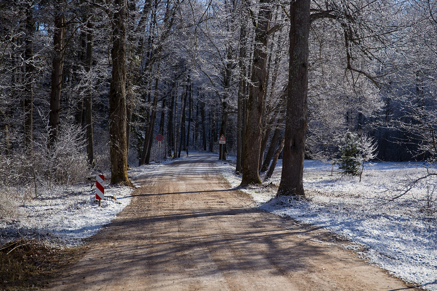 От весны до зимы