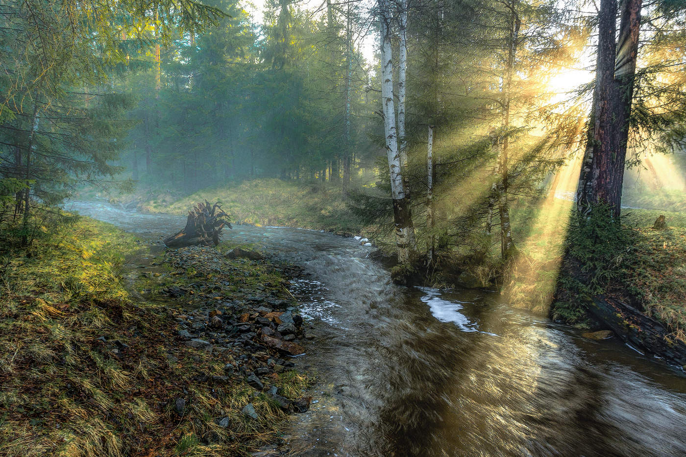 Вечерние лучи в тумане
