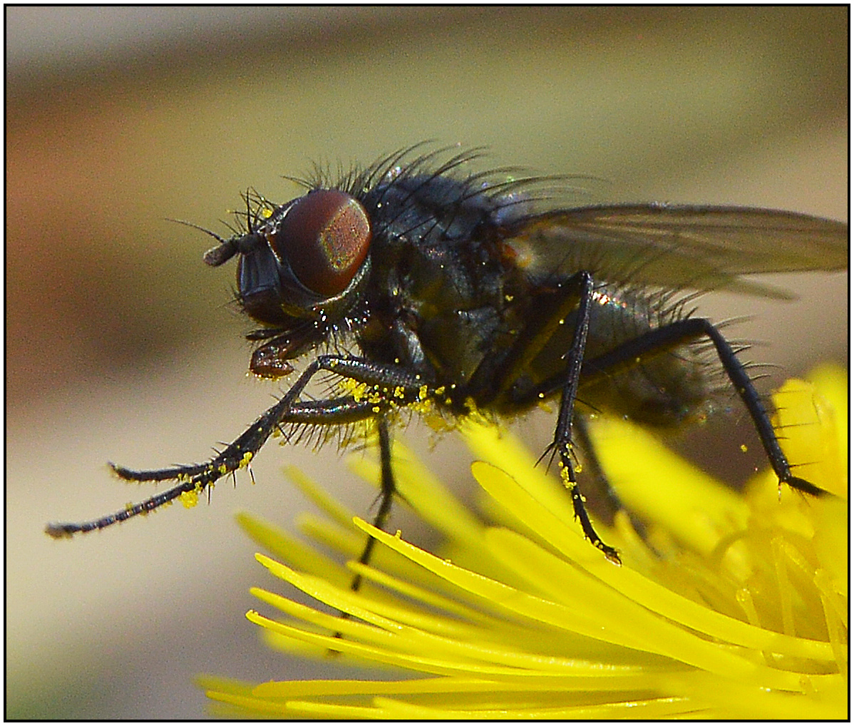 Чистота это здорово.