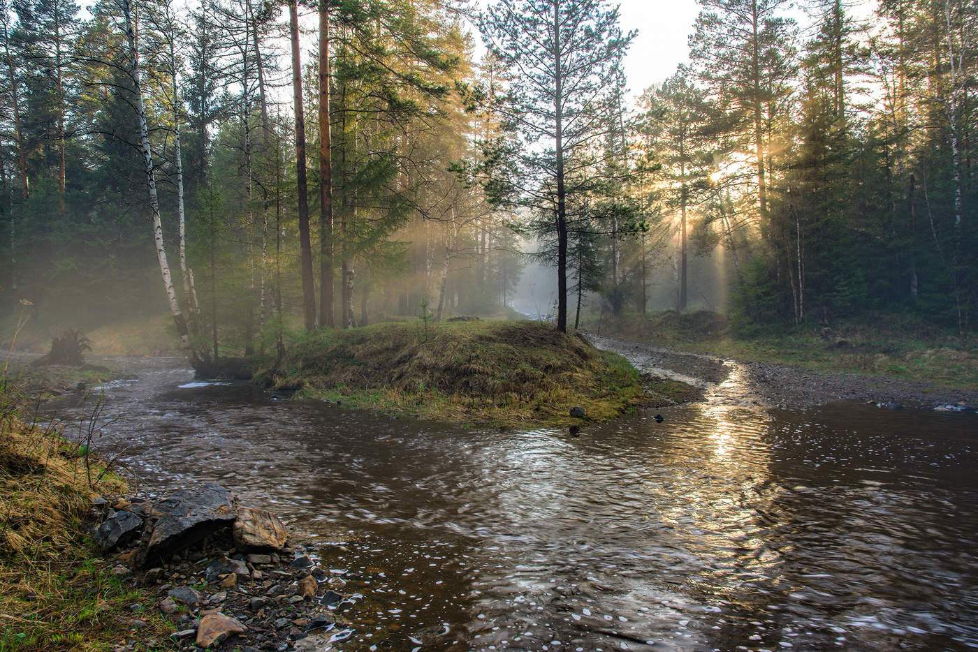 Вечерний свет