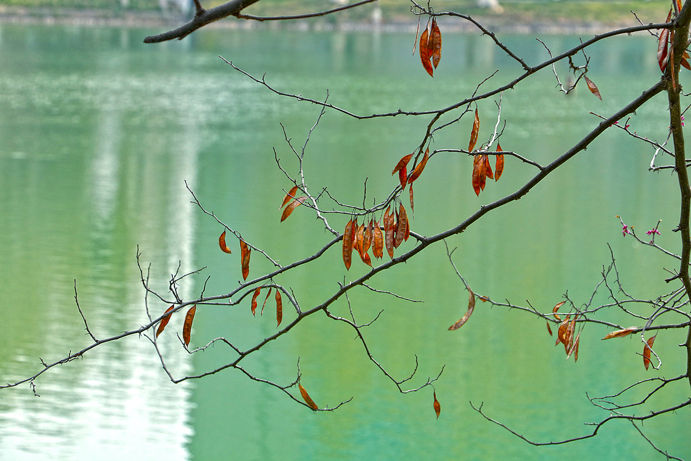 Продержались до весны