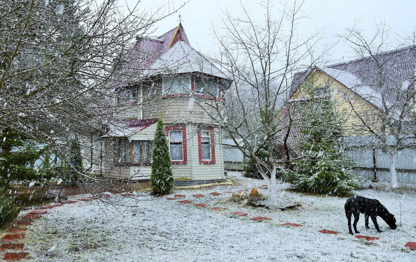 Сюрпризы апрельского утра ...