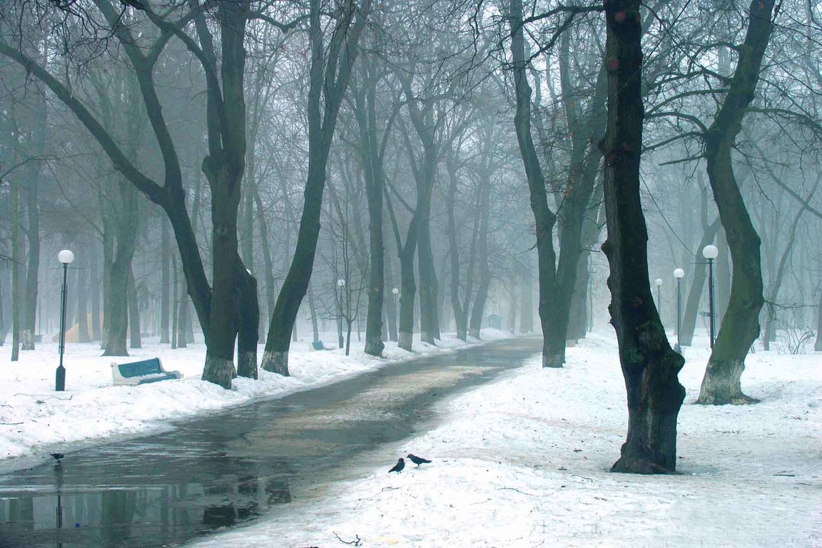 Утренняя туманность