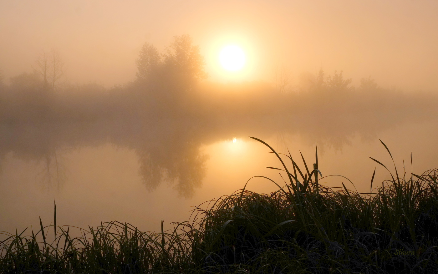Густой туман.