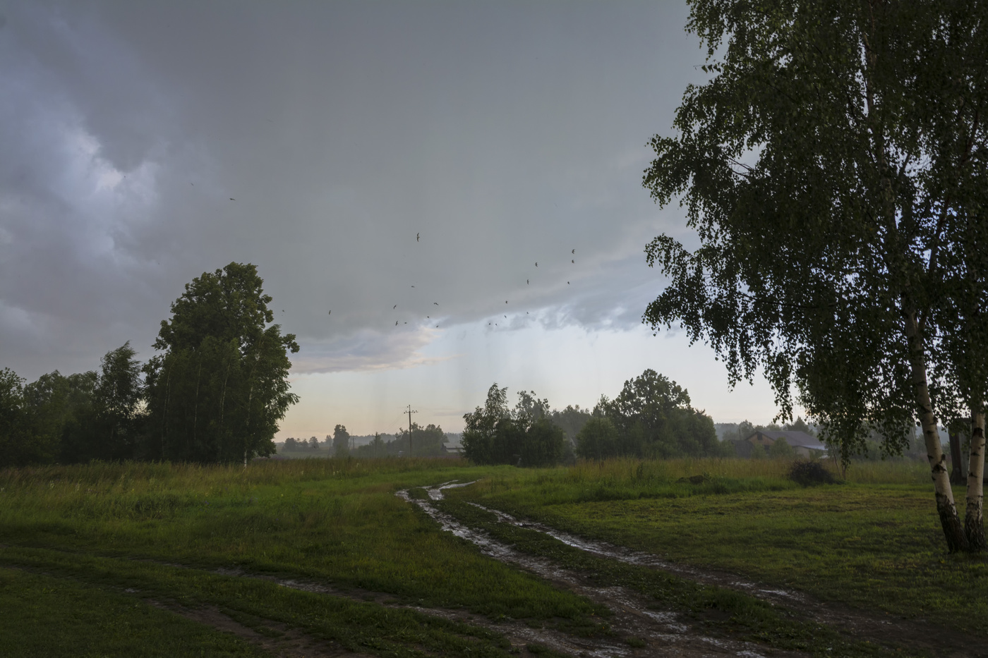 летний вечер