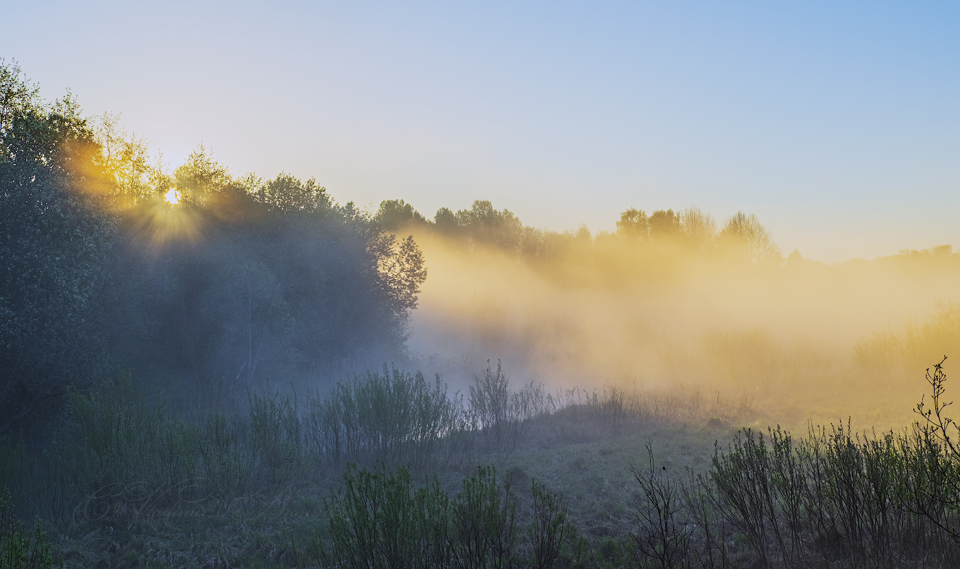 Нас утро встречает туманом