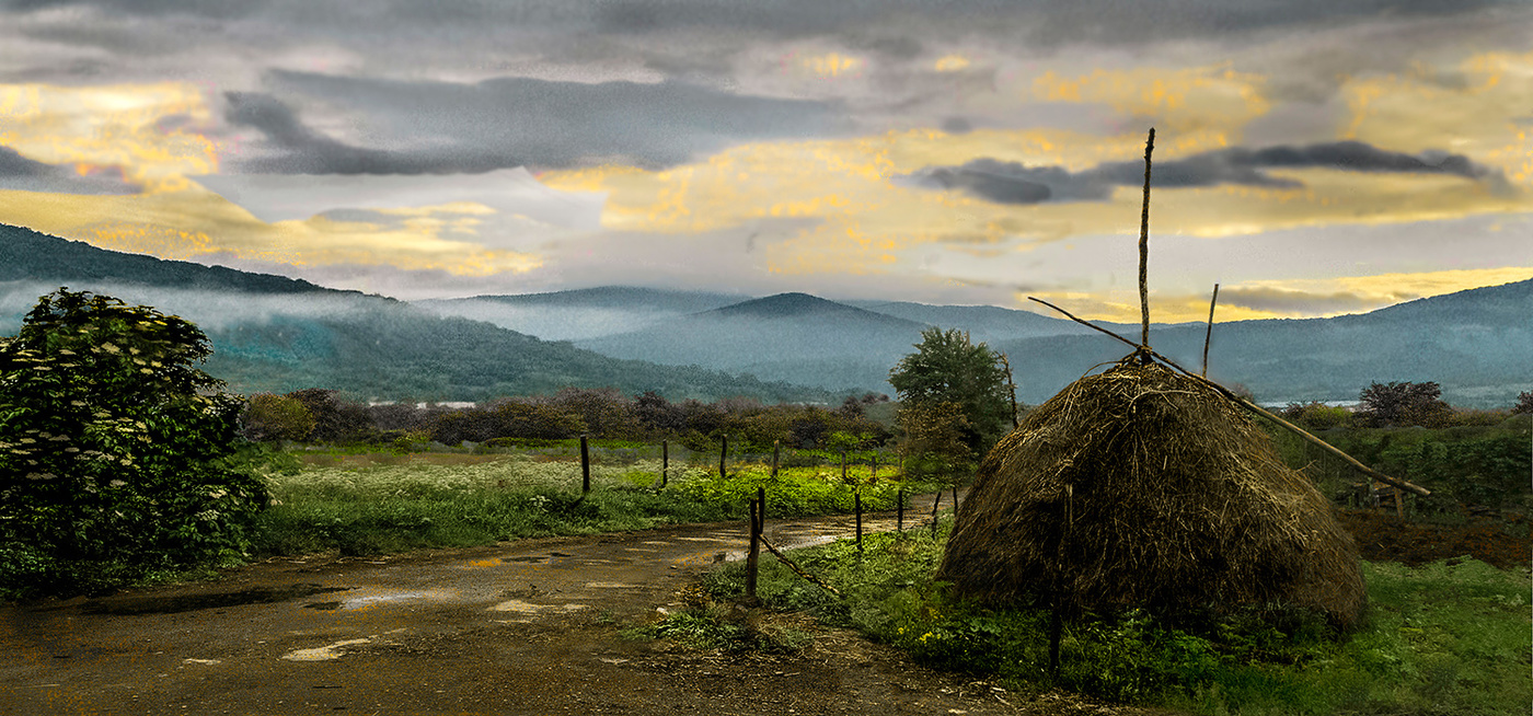 Сельское утро