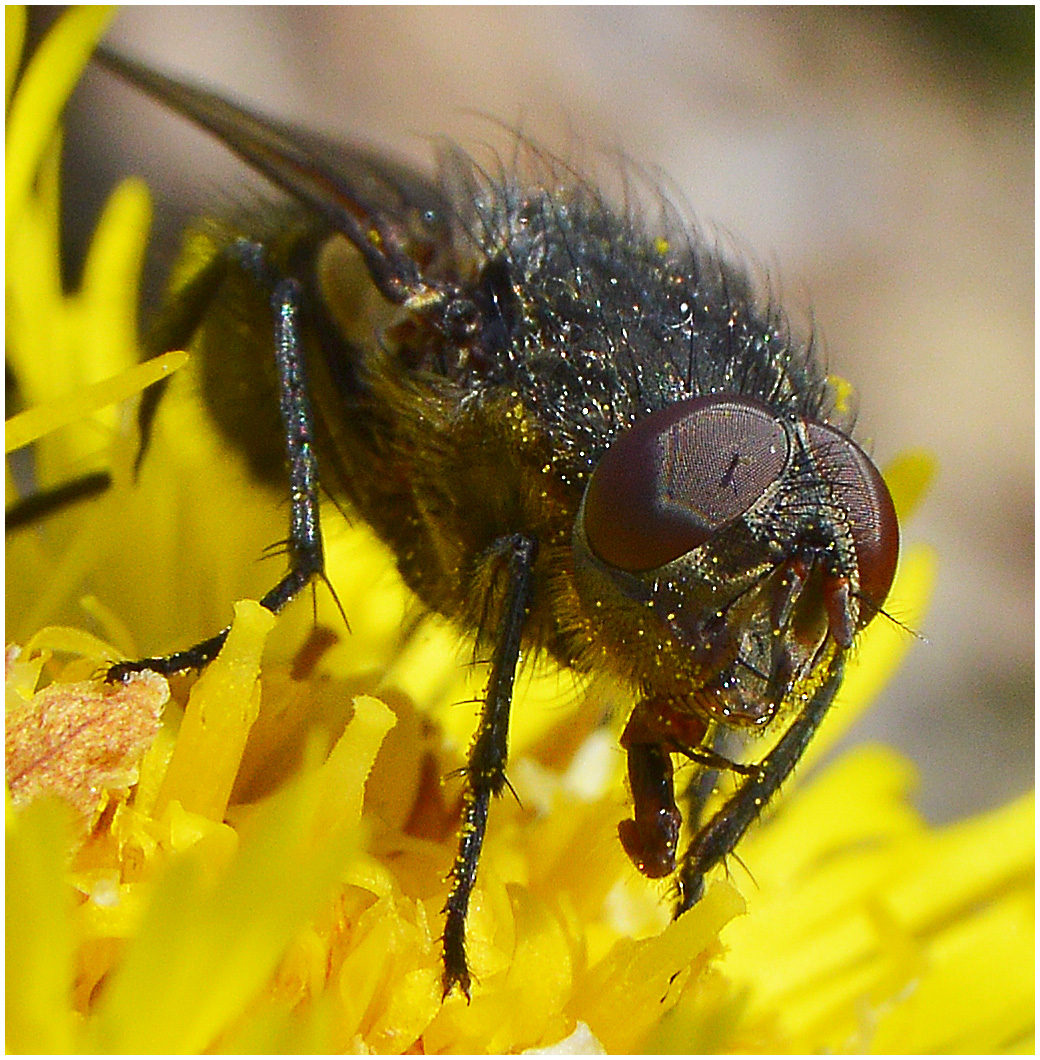 Заботы каждого дня