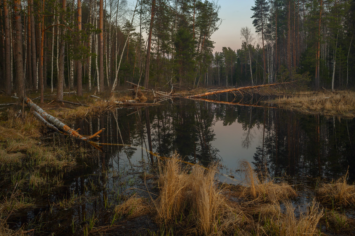 Апрель. р. Суходол