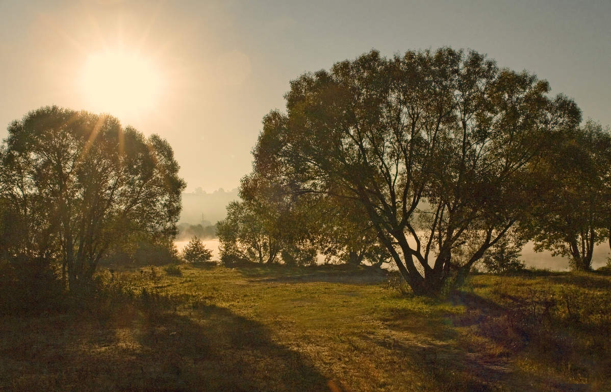 Лучистый свет весны