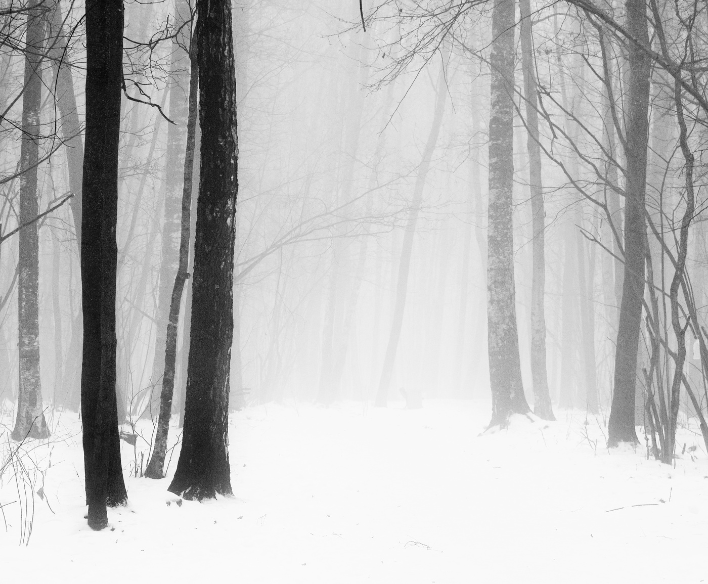 "Вуаль меланхолии неотделима от ощущения красоты..."