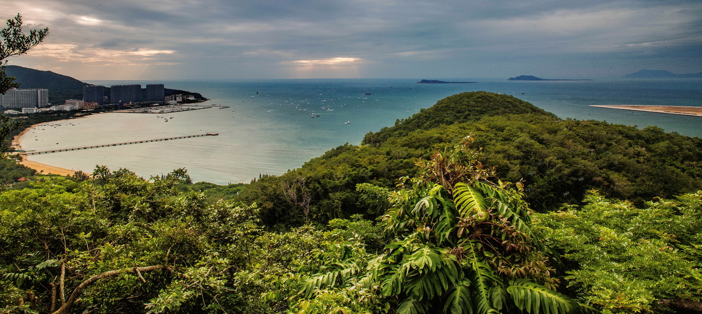 Весь покрытый зеленью...