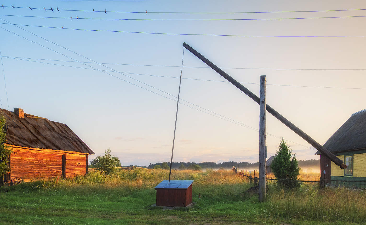 Ласточки и журавль