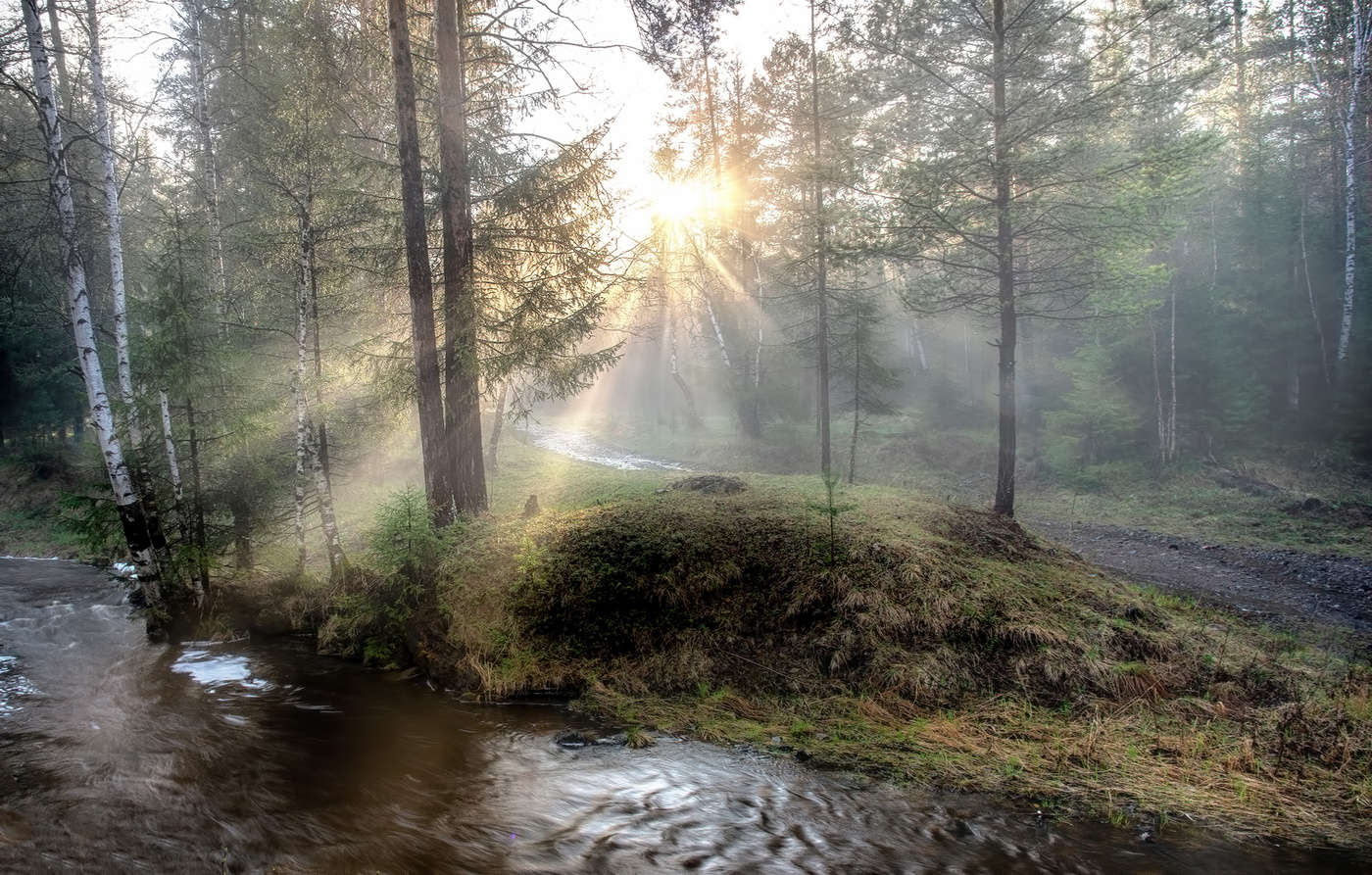 Сквозь туман