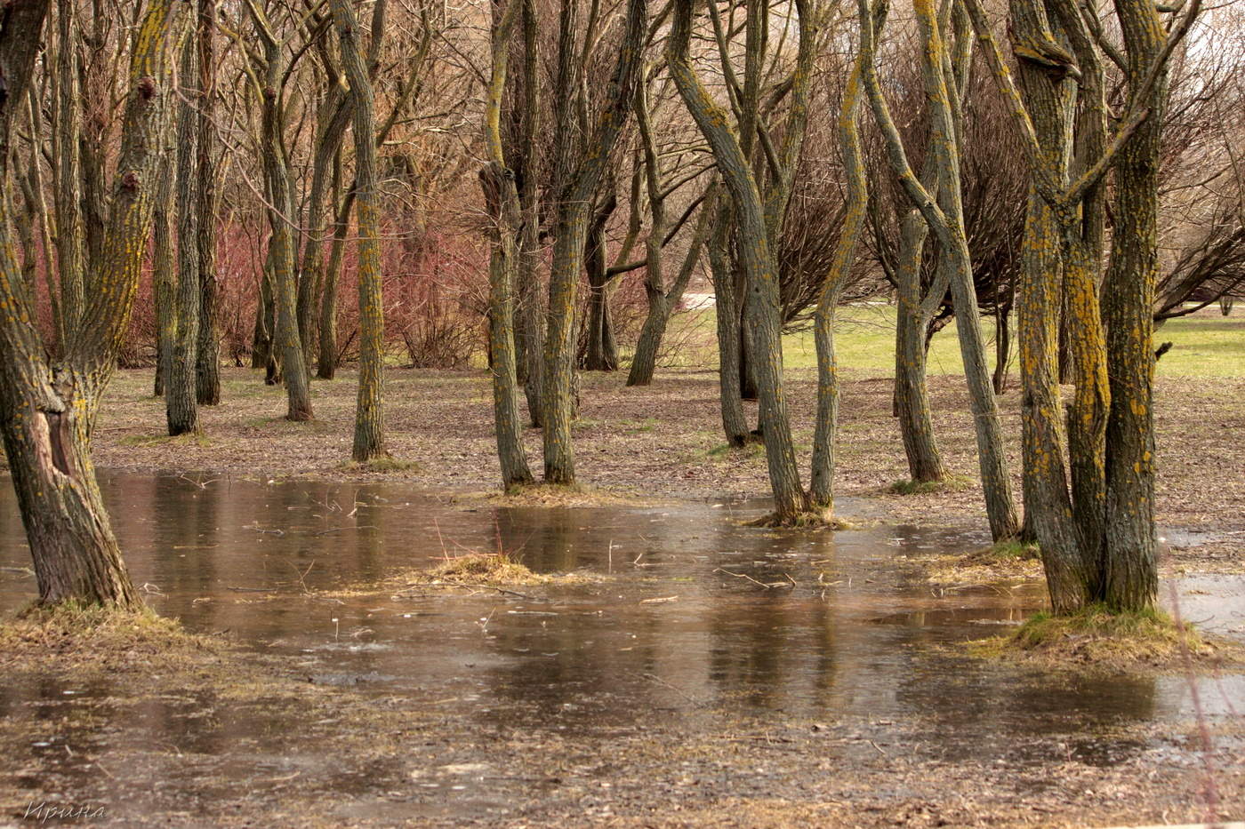 невеселая московская весна...