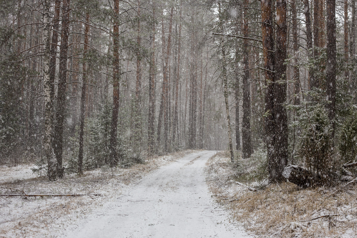 А снег идет..