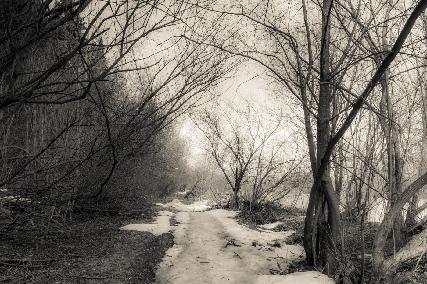 Таинственный путь