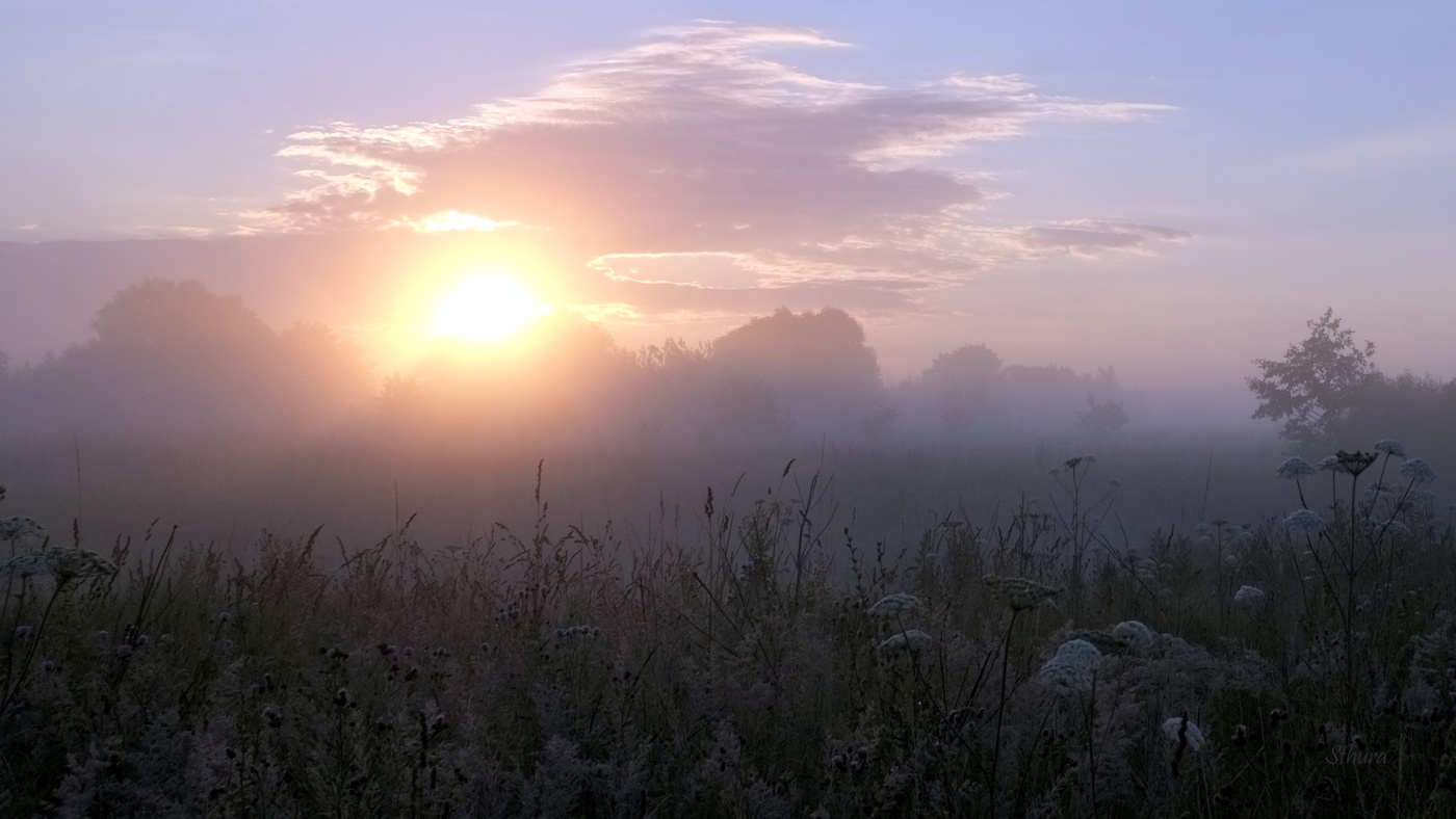Утреннее поле.