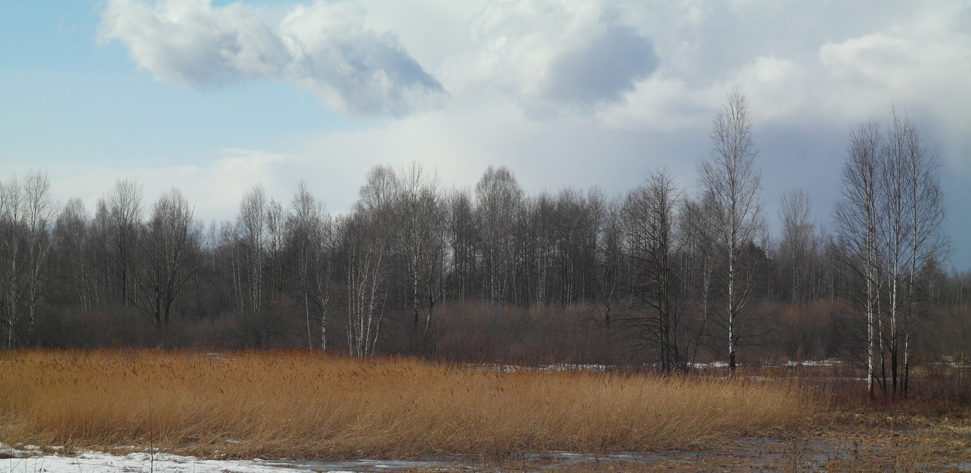 Перемена погоды.