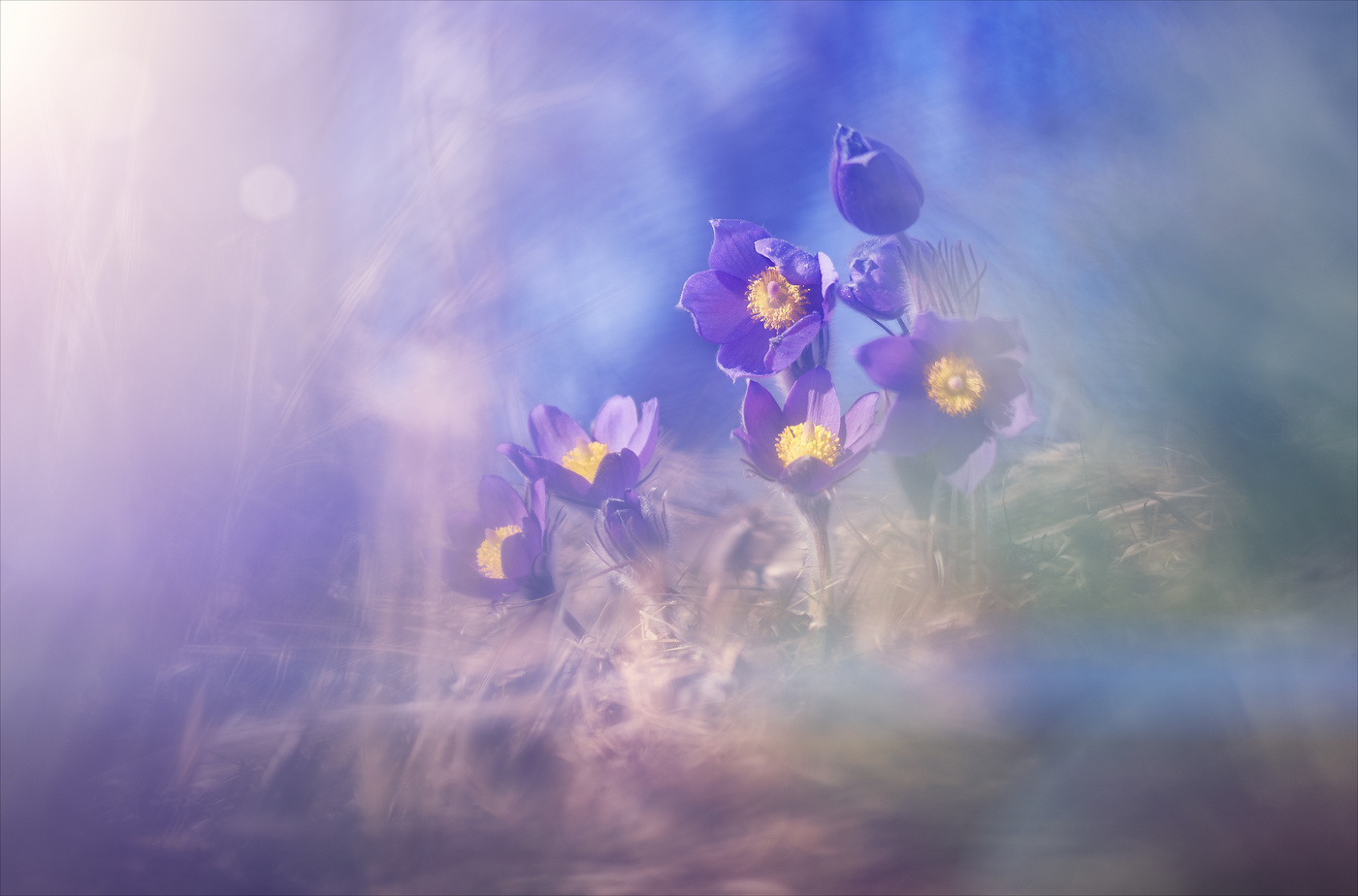 Весны волшебство.