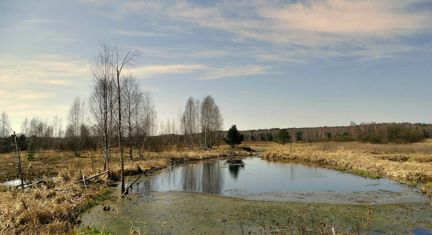 Весенняя апрельская картинка