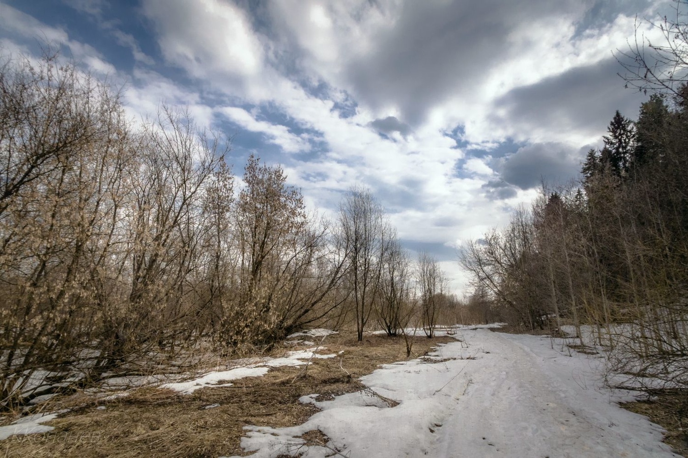 Весеннею порой