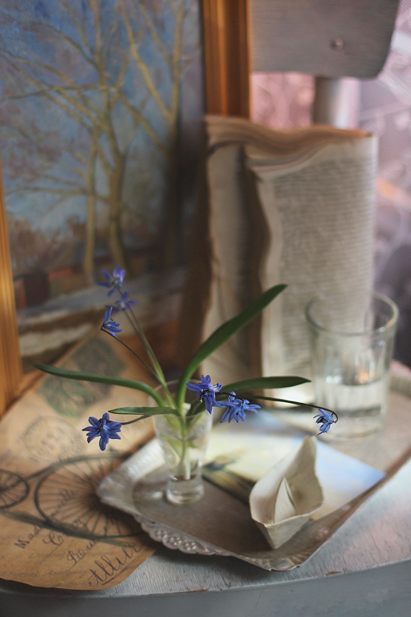 Весенние цветы...