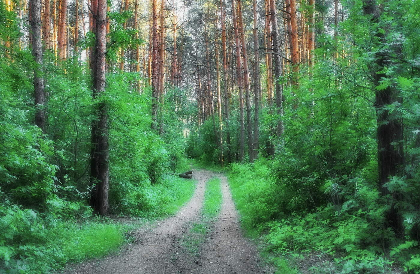 Вечерний пейзаж