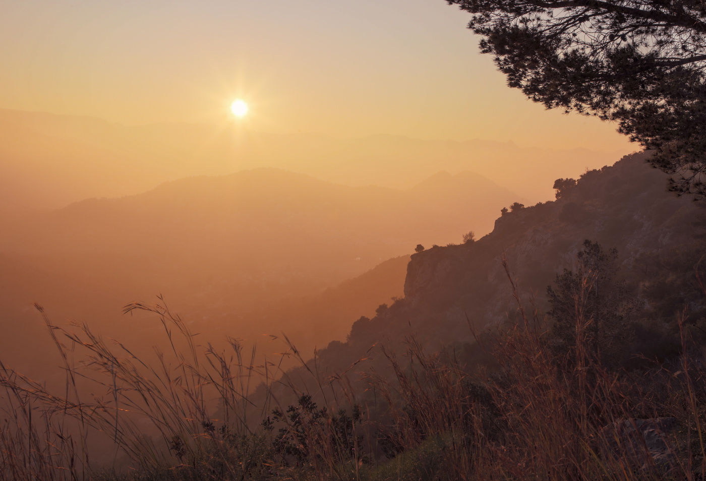 Солнце в тумане