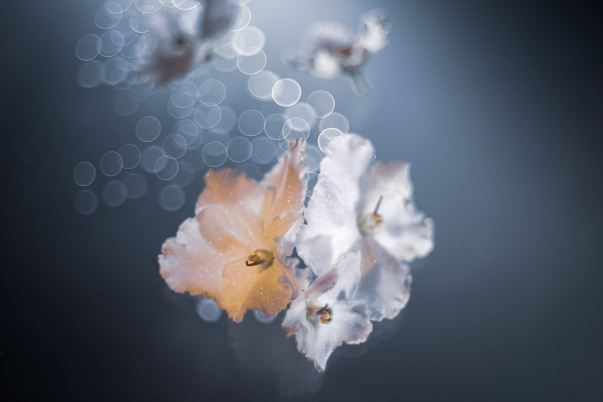 Nobody gets to forget...