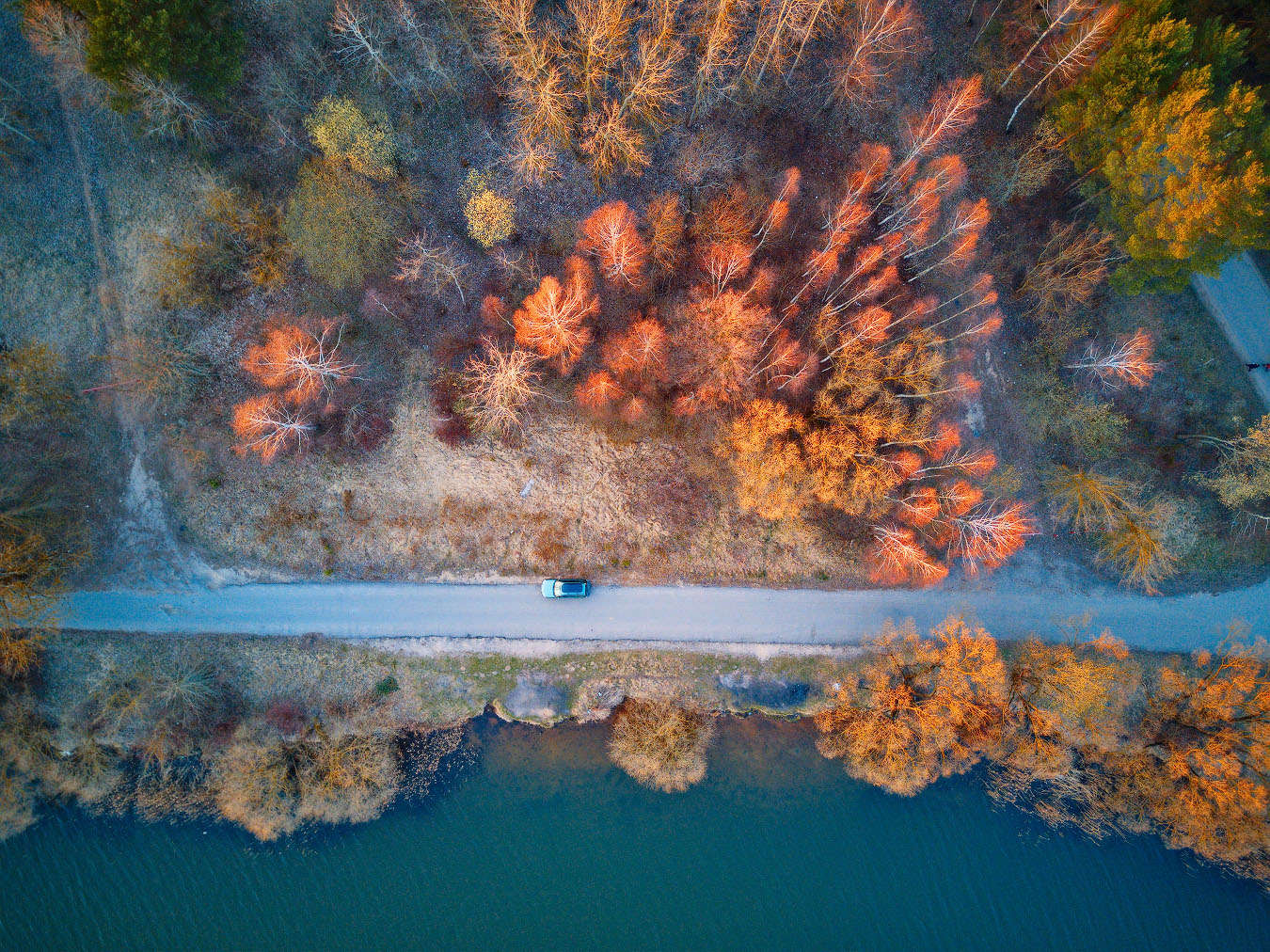 На берегу Криницы