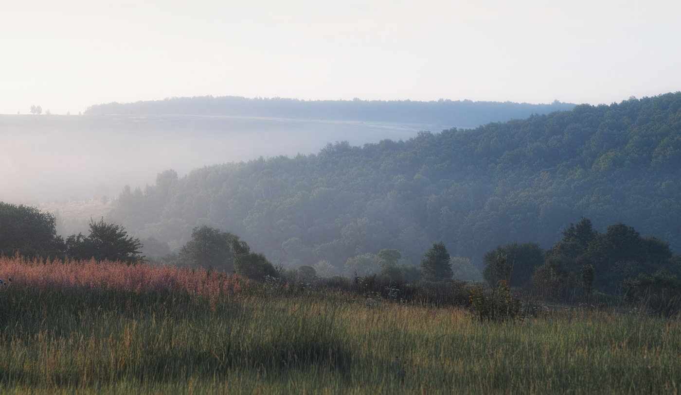 Туманным утром ранним