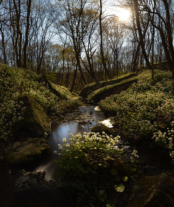 Весенняя лунная ночь