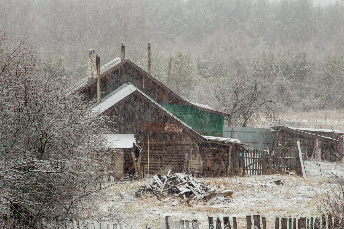 Стеною снег, стеною лес