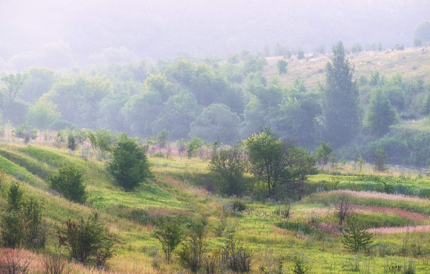 В рассветной дымке
