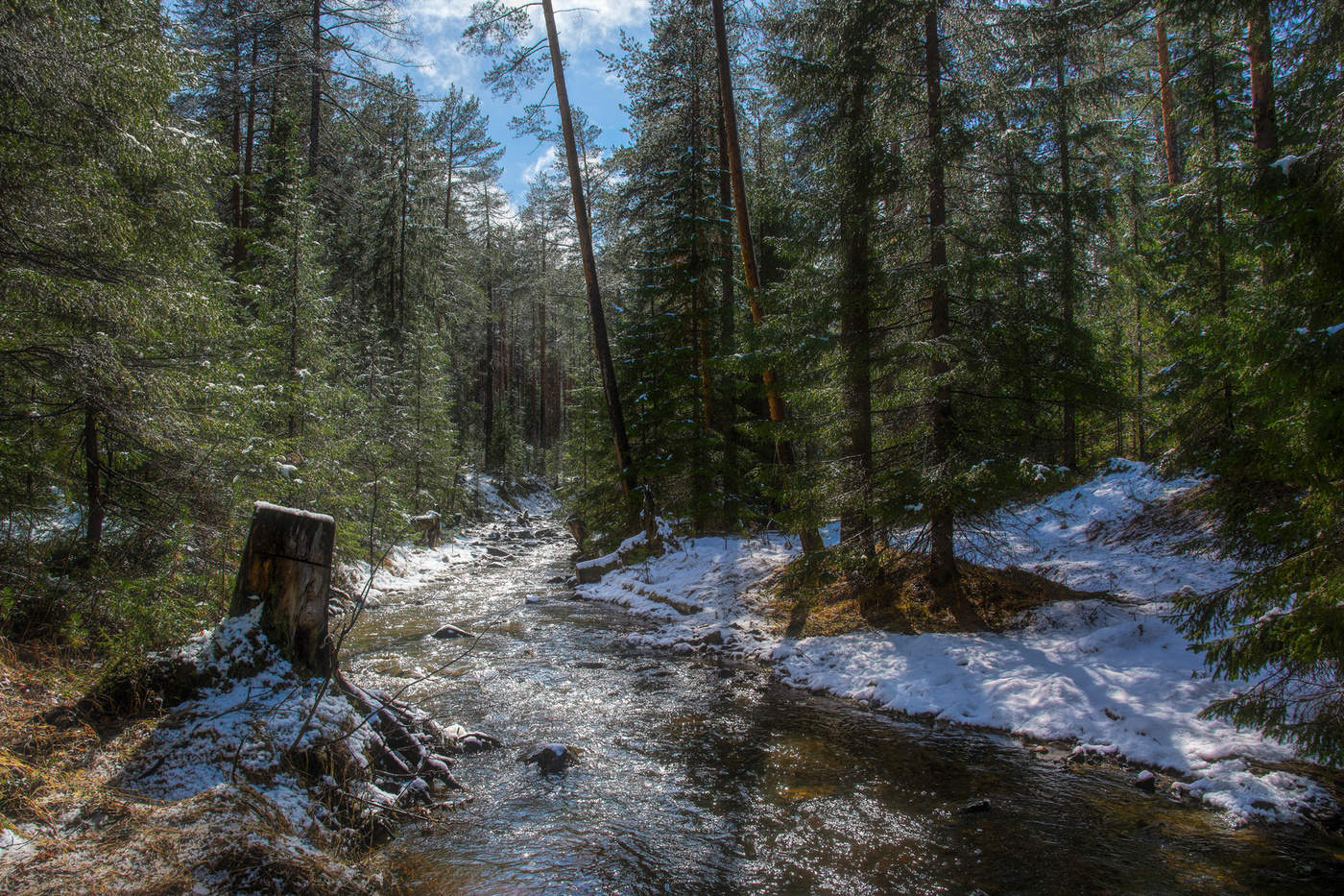 Солнечная речка