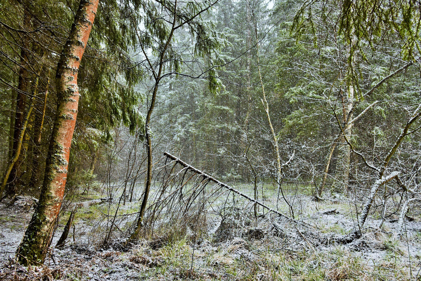 "И, участвуя в сюжете, я смотрю со стороны..."