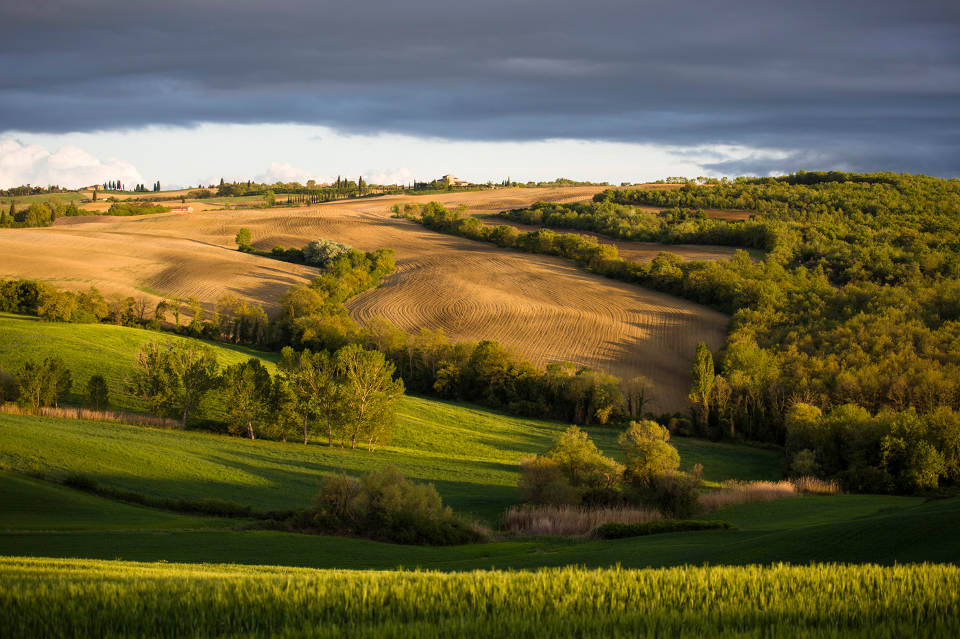 Особенности посевной