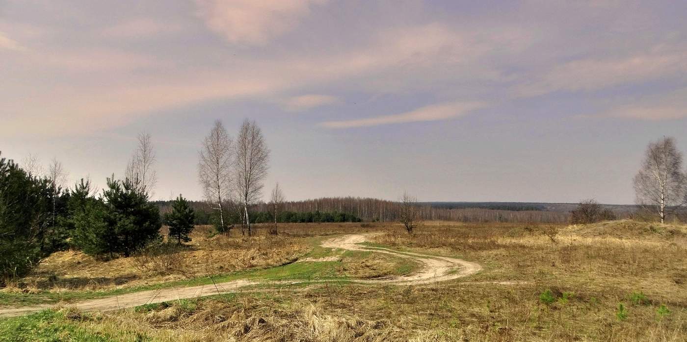 Зигзагами навстречу весне