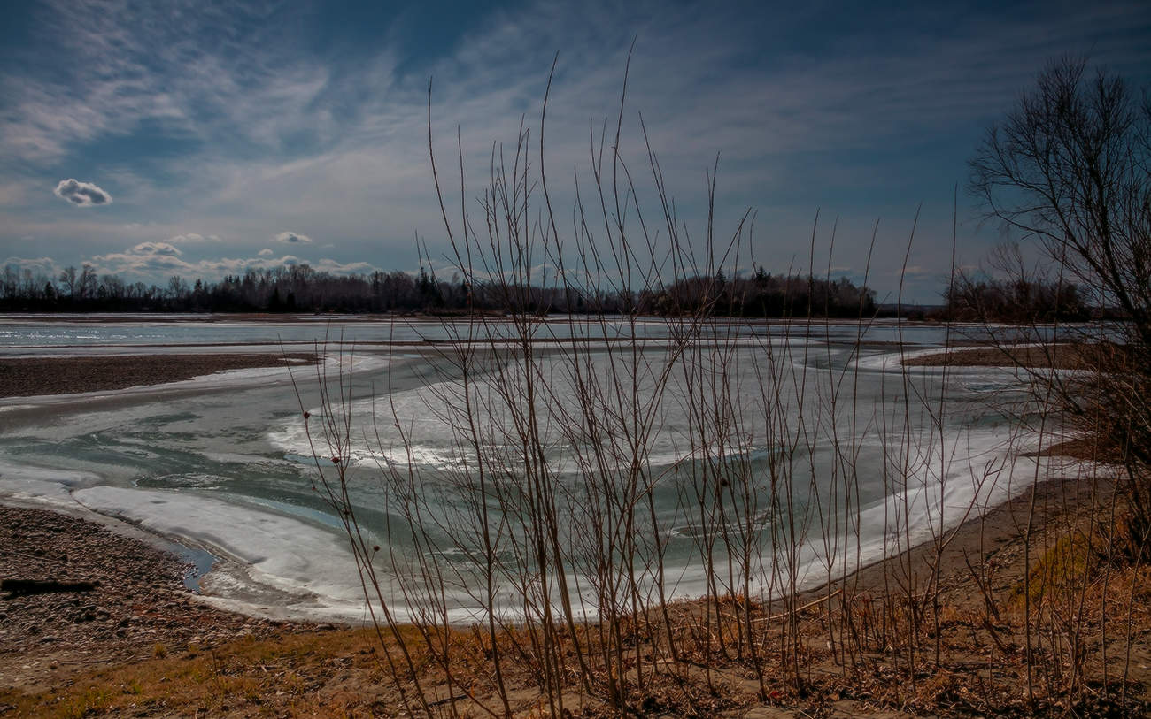 Ока весенняя (3)